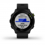 Smartwatch Garmin Forerunner 55