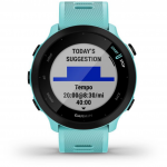 Smartwatch Garmin Forerunner 55