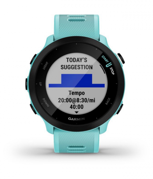 Smartwatch Garmin Forerunner 55